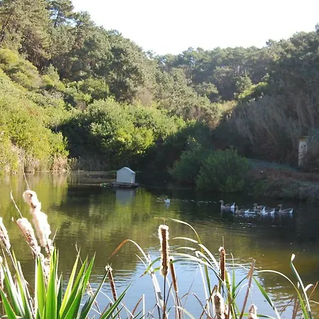 Quinta Da Falca *