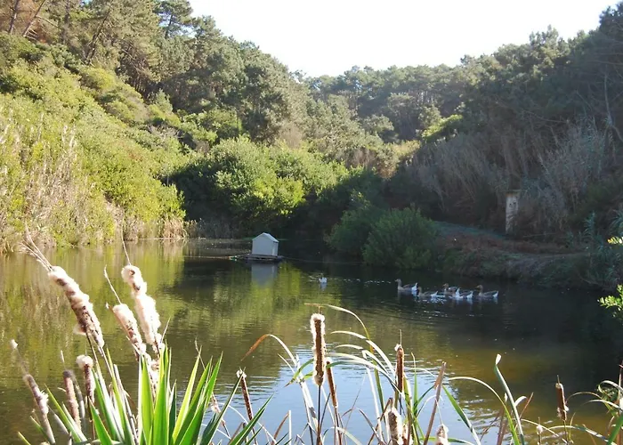 Quinta Da Falca *